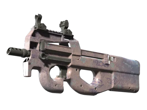 CS2 P90 | Wash me skin