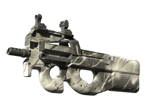CS2 P90 | Ash Wood skin