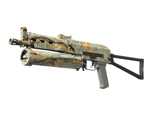CS2 PP-Bizon | Modern Hunter skin