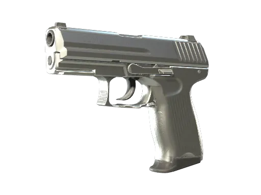 CS2 P2000 | Silver skin