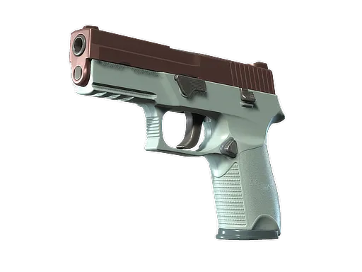 CS2 P250 | Copper Oxide skin