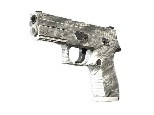 CS2 P250 | Sleet skin