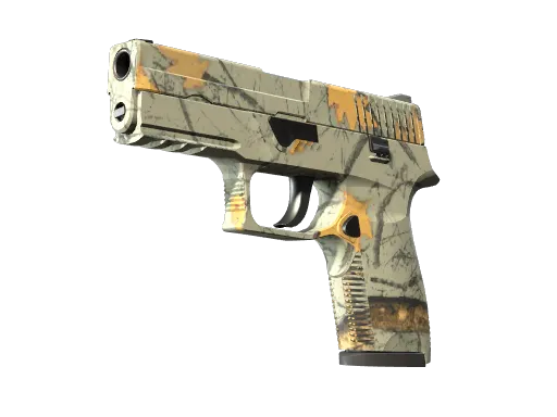 CS2 P250 | Modern Hunter skin
