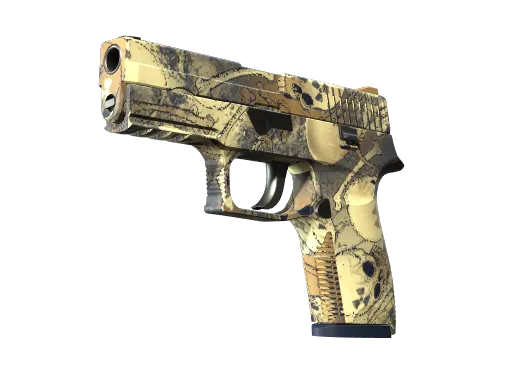 CS2 P250 | Contamination skin