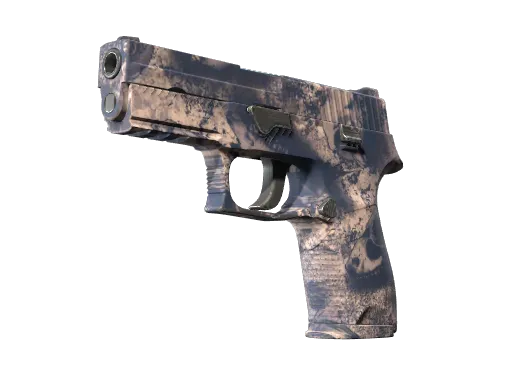 CS2 P250 | Drought skin