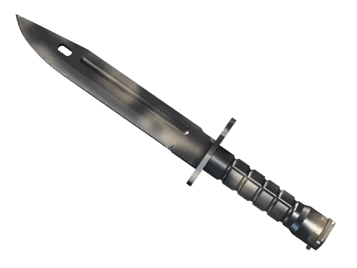 CS2 Bayonet | Scorched skin