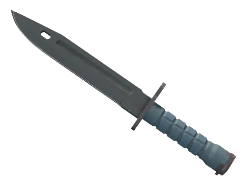 CS2 Bayonet | Night skin