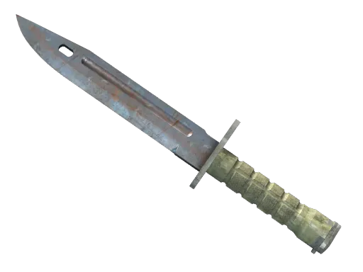 CS2 Bayonet | Rust Coat skin