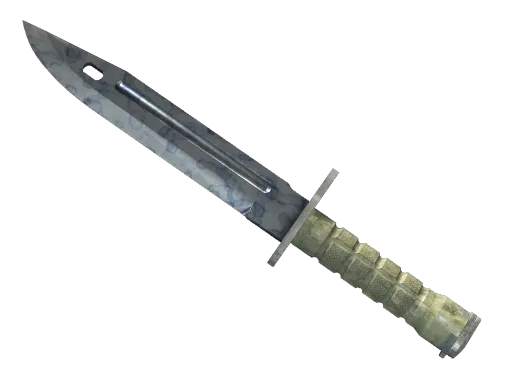 CS2 Bayonet | Stained skin
