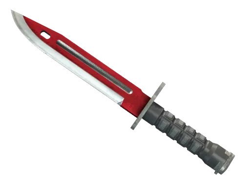 A CS2 Bayonet skin