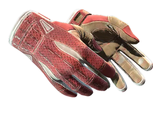 CS2 Sport Gloves | Slingshot skin
