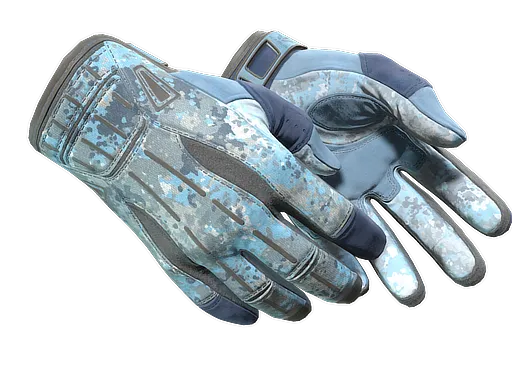 CS2 Sport Gloves | Frosty skin