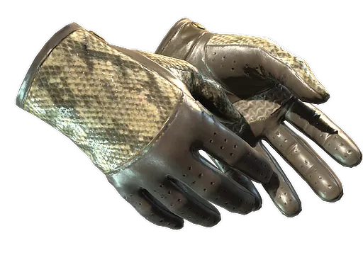 CS2 Driver Gloves | Diamondback skin