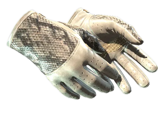 CS2 Driver Gloves | King Snake skin