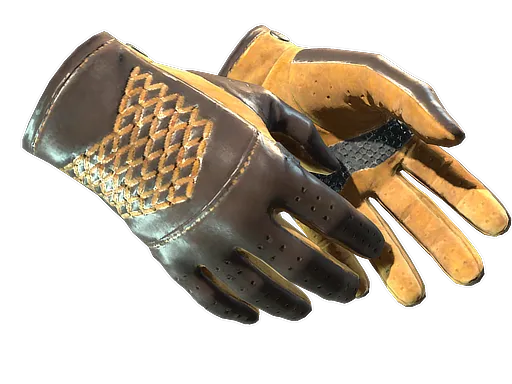 CS2 Driver Gloves | Overtake skin