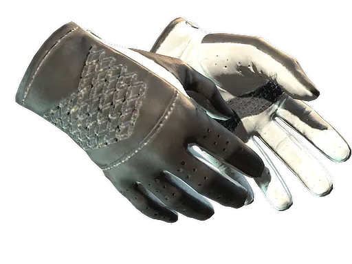 A CS2 Driver Gloves skin