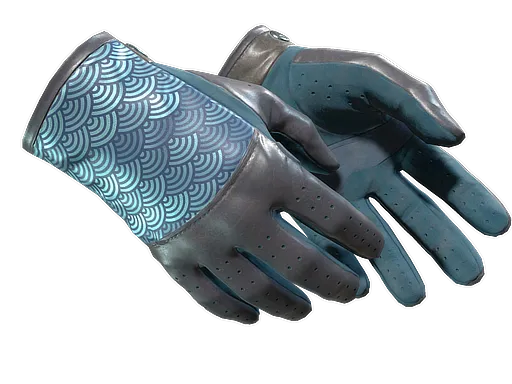 CS2 Driver Gloves | Seigaiha skin