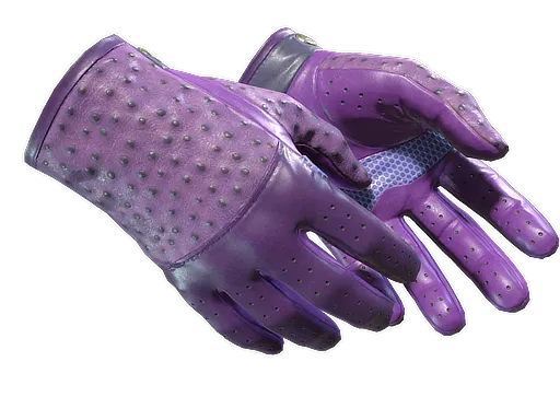 CS2 Driver Gloves | Plum Quill skin