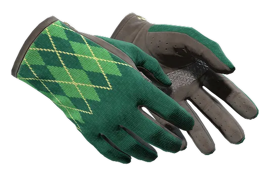 CS2 Driver Gloves | Hand Sweaters skin