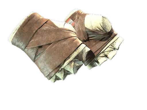 CS2 Hand Wraps | Leather skin