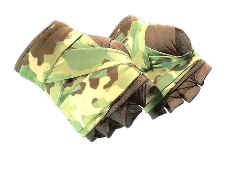A CS2 Hand Wraps skin