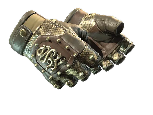 CS2 Hydra Gloves | Rattler skin