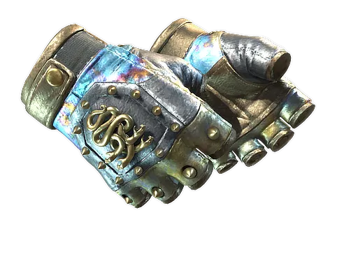 A CS2 Hydra Gloves skin