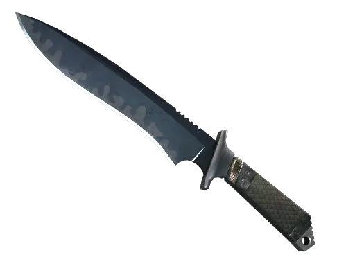 A CS2 Classic Knife skin