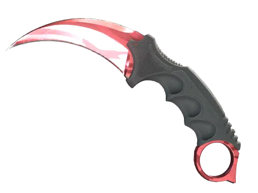 CS2 Karambit | Slaughter skin