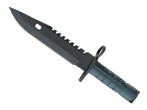 CS2 M9 Bayonet | Night skin