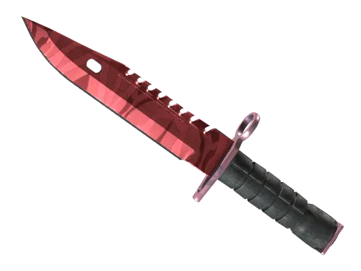 CS2 M9 Bayonet | Slaughter skin