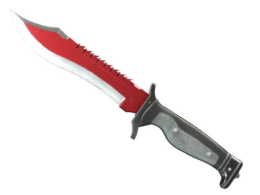 A CS2 Bowie Knife skin