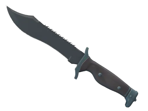 CS2 Bowie Knife | Night skin