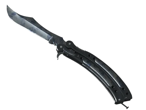 CS2 Butterfly Knife | Stained skin