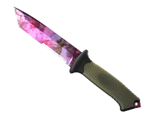 CS2 Ursus Knife | Doppler Phase 2 skin
