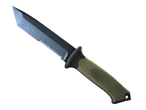 A CS2 Ursus Knife skin