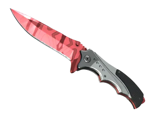 CS2 Nomad Knife | Slaughter skin