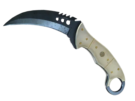 A CS2 Talon Knife skin