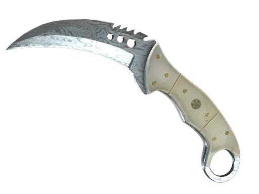 CS2 Talon Knife | Damascus Steel skin
