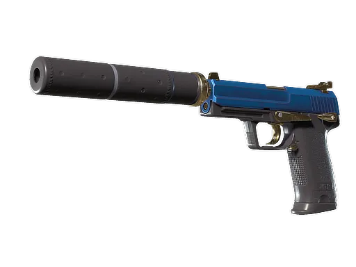 CS2 USP-S | Royal Guard skin