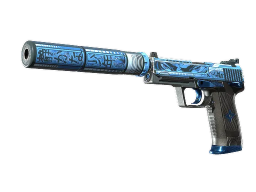 CS2 USP-S | Silent Shot skin