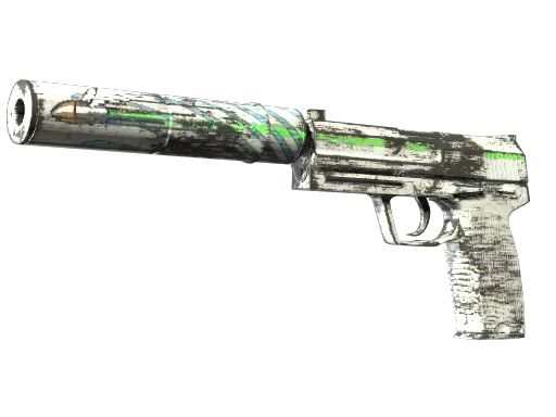 CS2 USP-S | Road Rash skin