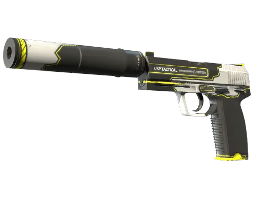 CS2 USP-S | Torque skin
