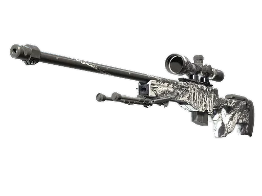 CS2 AWP | The End skin